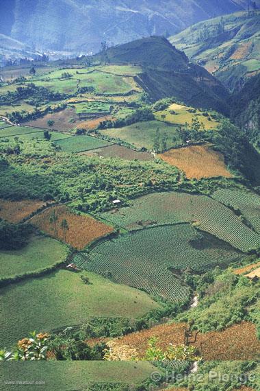 View of the Valley