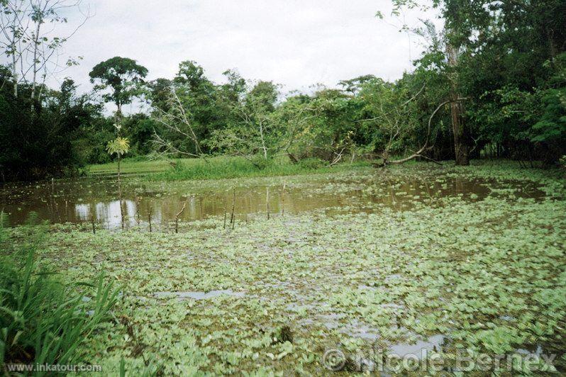 Photo of Peru