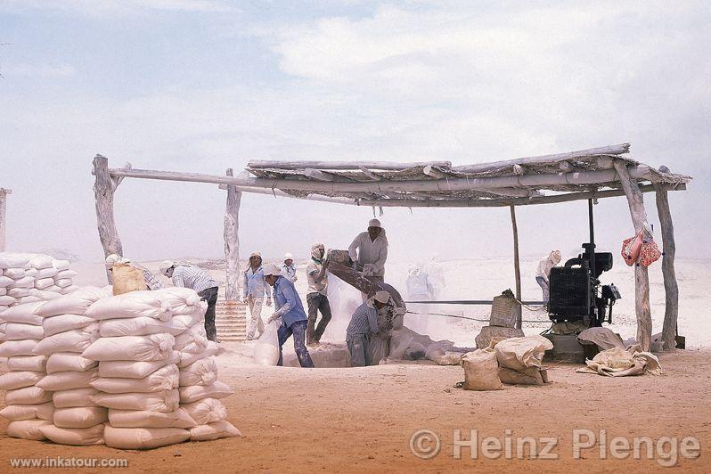 Plaster extraction in Mórrope