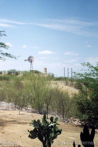 Photo of Peru