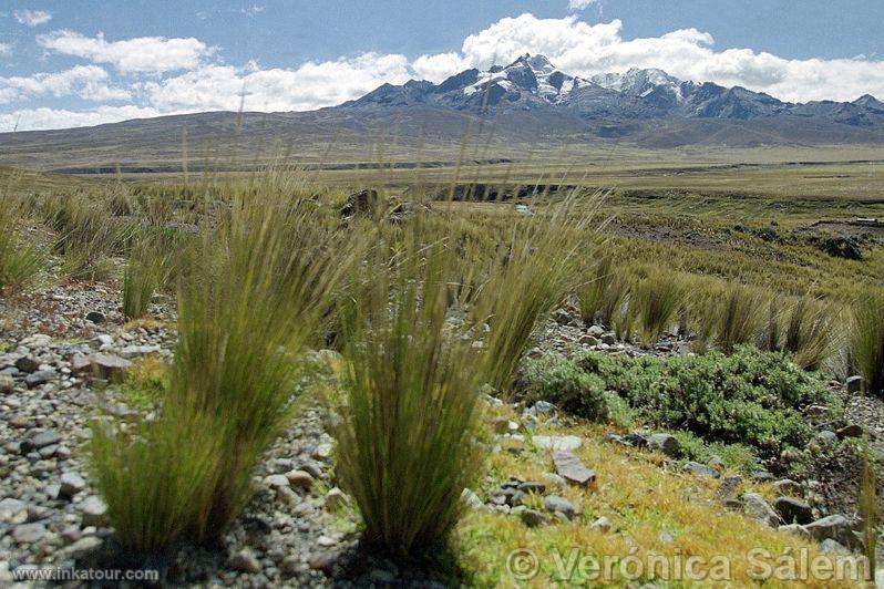 Photo of Peru