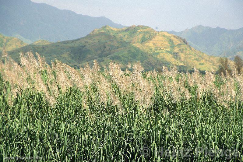 Photo of Peru