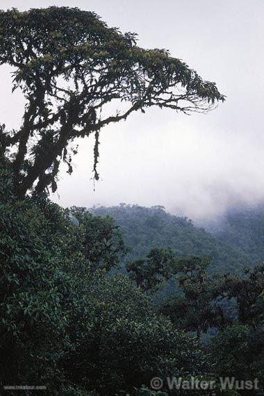 Photo of Peru