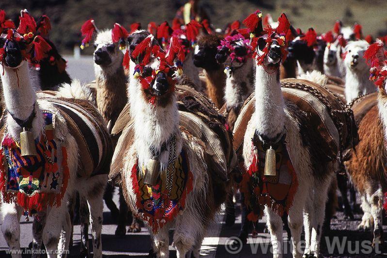 Photo of Peru