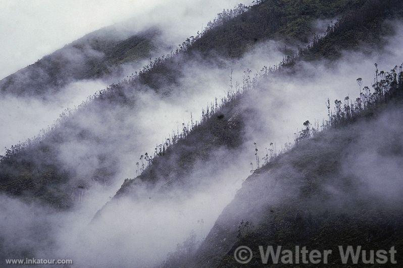 Photo of Peru