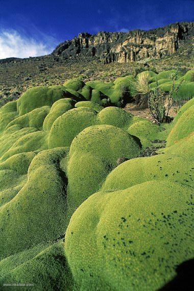 Photo of Peru