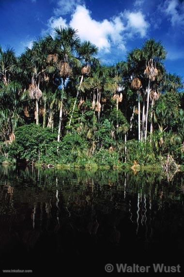 Photo of Peru