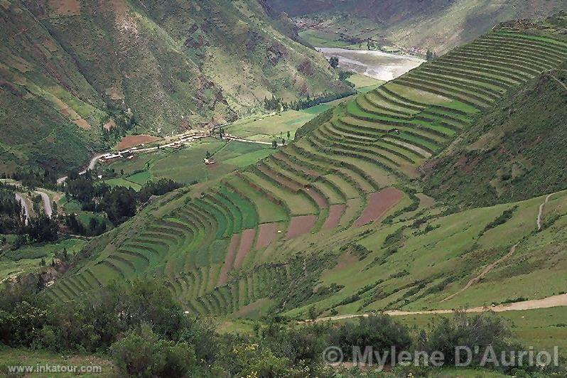 Pisac