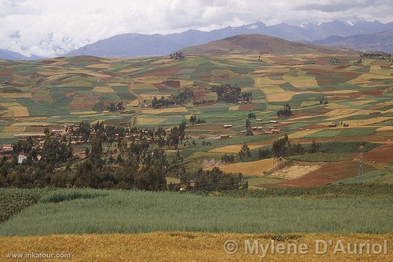 Photo of Peru