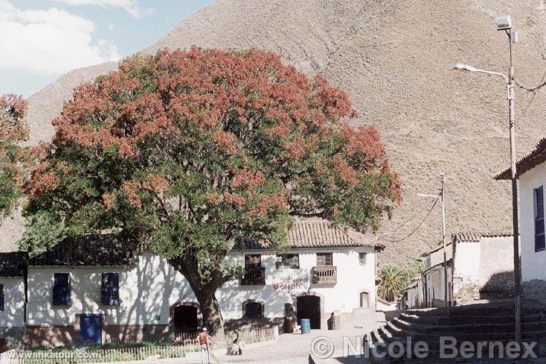 Andahuaylas