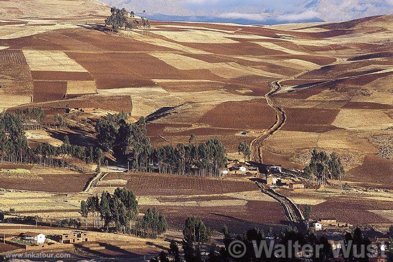 Photo of Peru