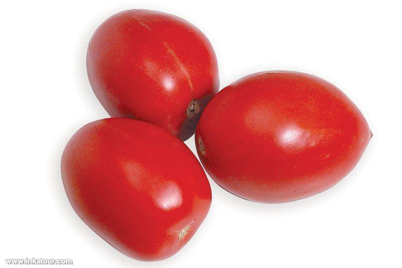 Tomato