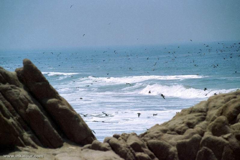 Mejía Beach