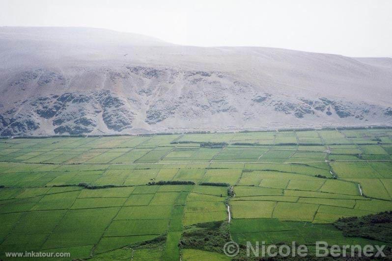 Valley of Camaná