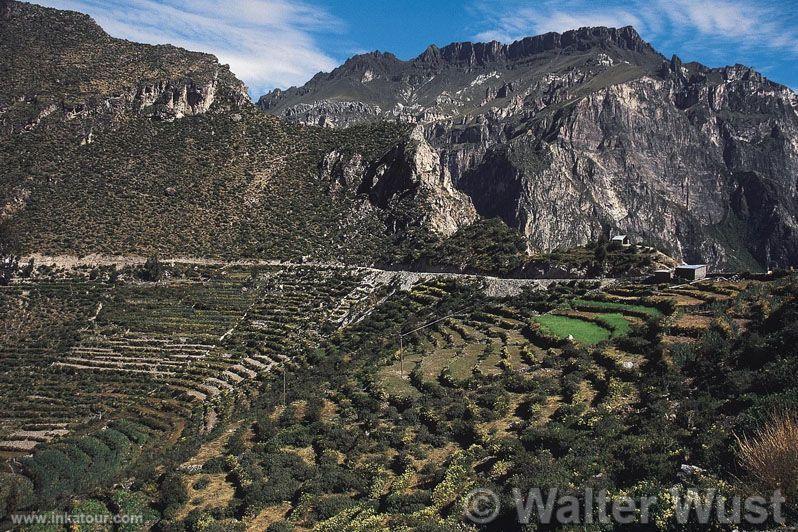 Valley of Cotahuasi