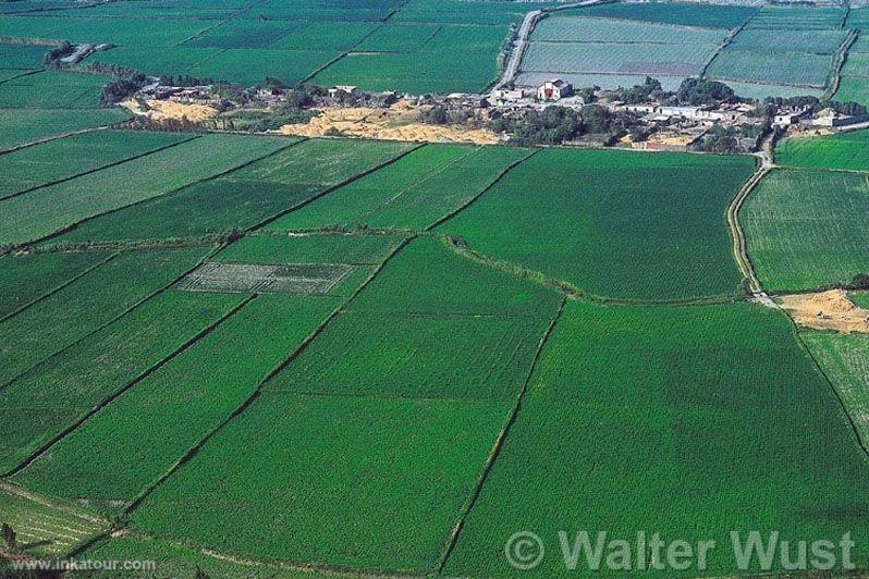 Valley of Camaná