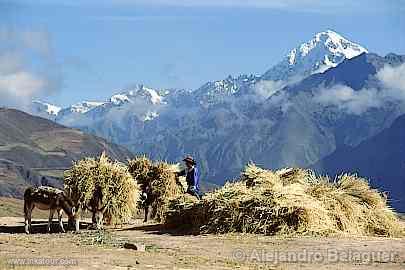 Photo of Peru