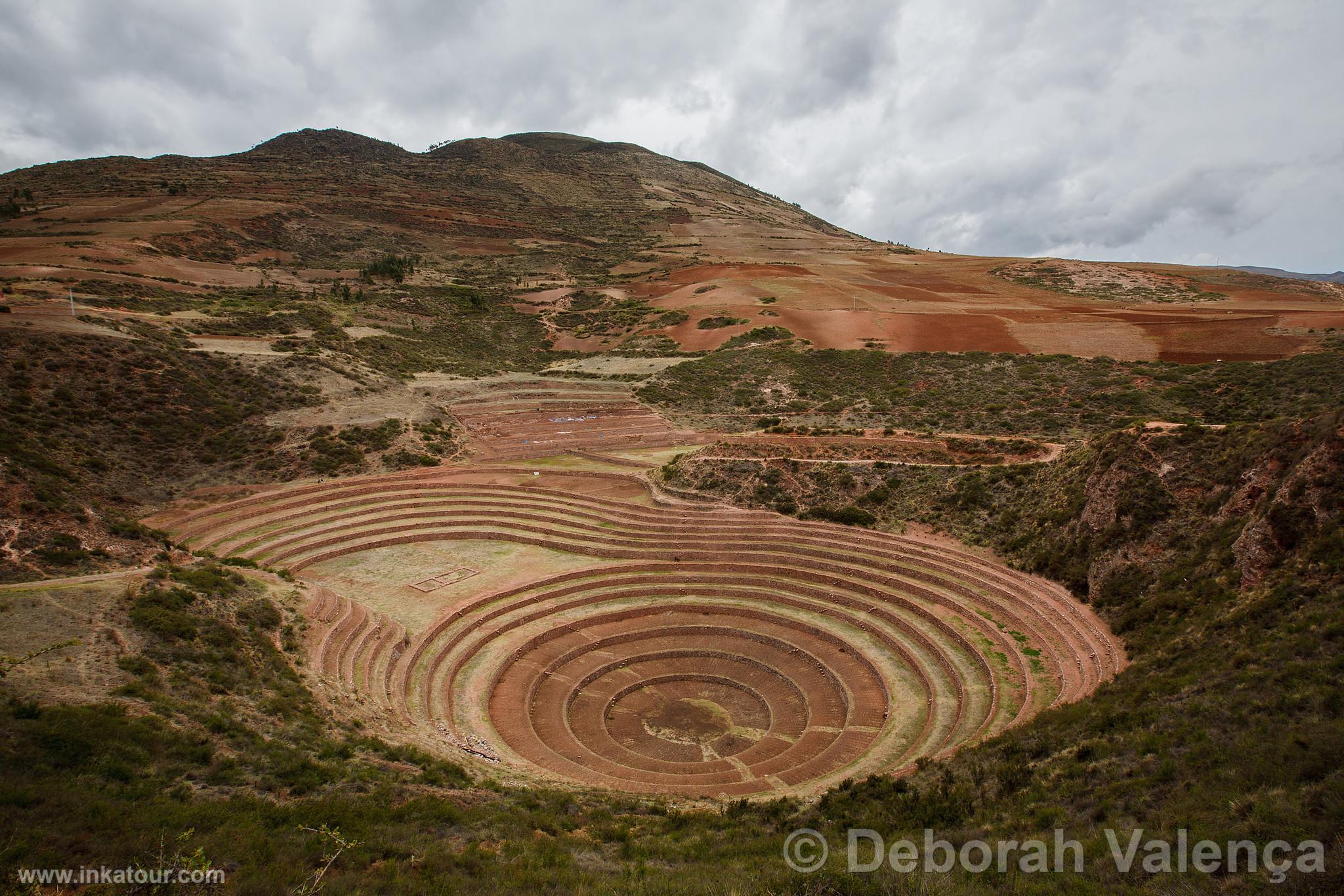 Moray