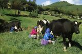 Granja Porcón, Cajamarca