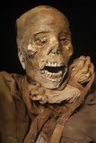 Chachapoyas Mummy