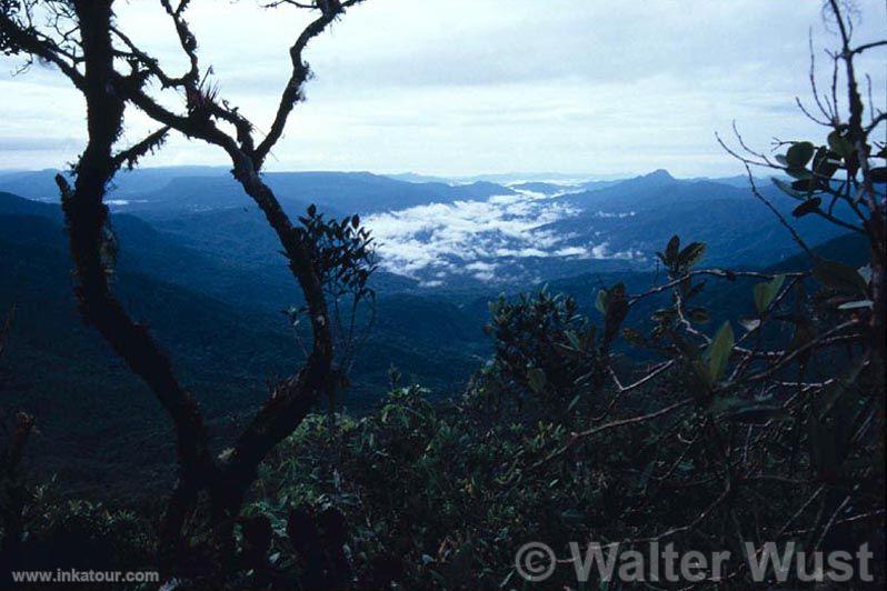 Photo of Peru