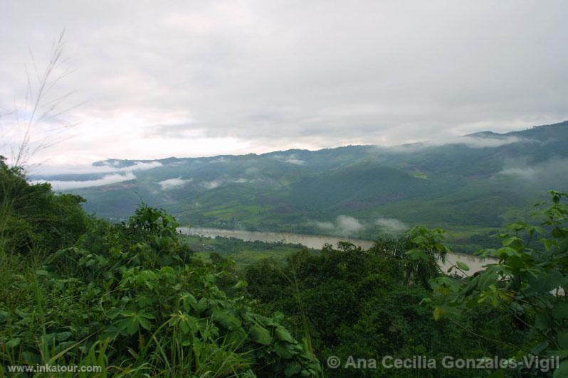 Forest of San Martín