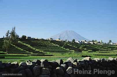 Arequipa