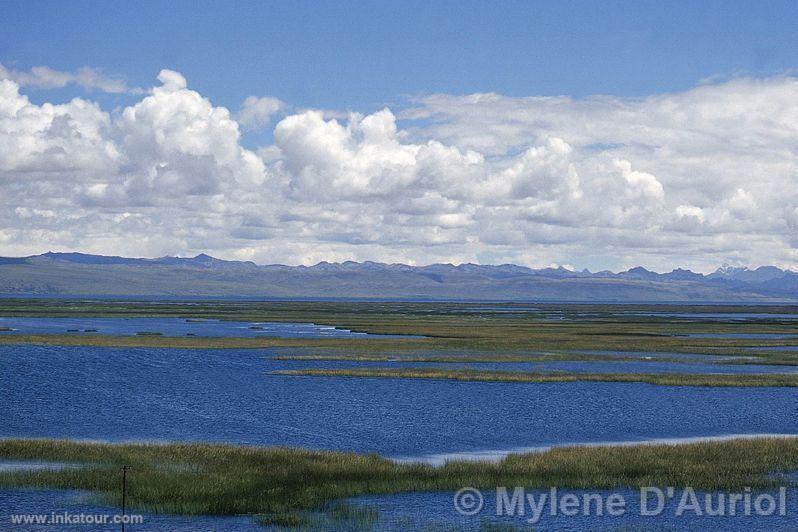 Junín Lake