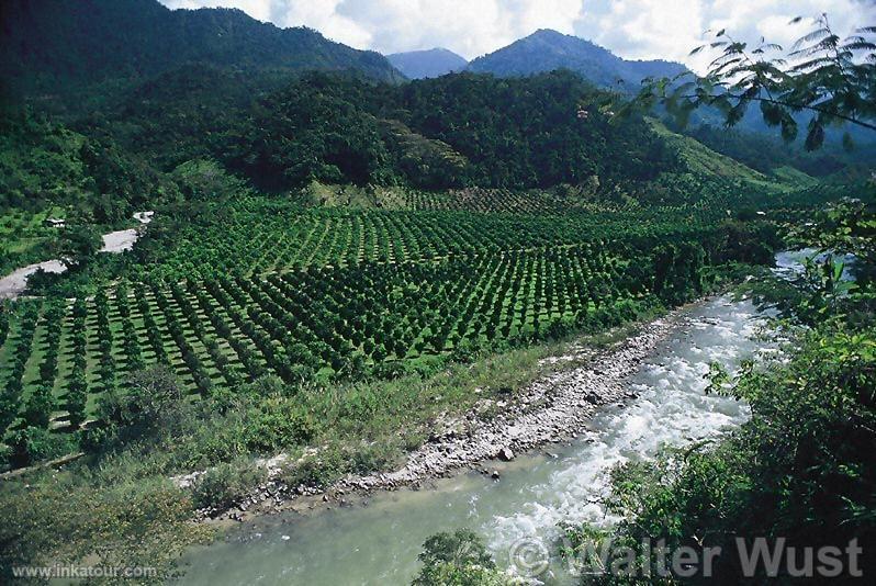 Photo of Peru