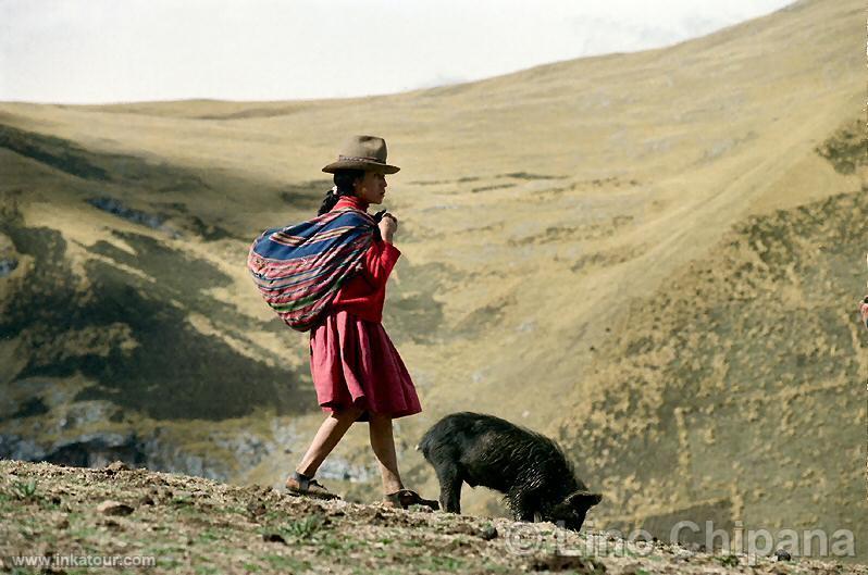 Photo of Peru