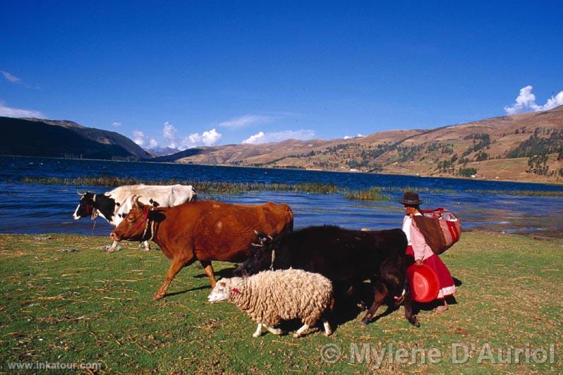 Photo of Peru