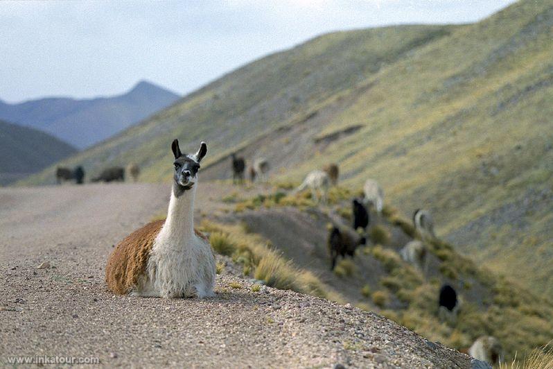 Photo of Peru