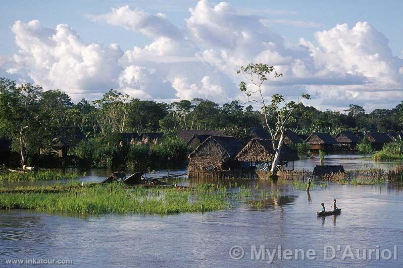 Amazonian river