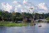 Amazonian river