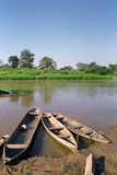 Boats in the shore of a river