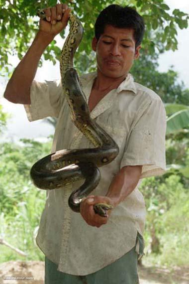 Photo of Peru