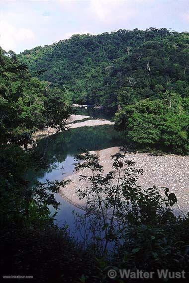 Amazonian relief