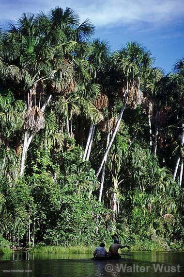 Photo of Peru