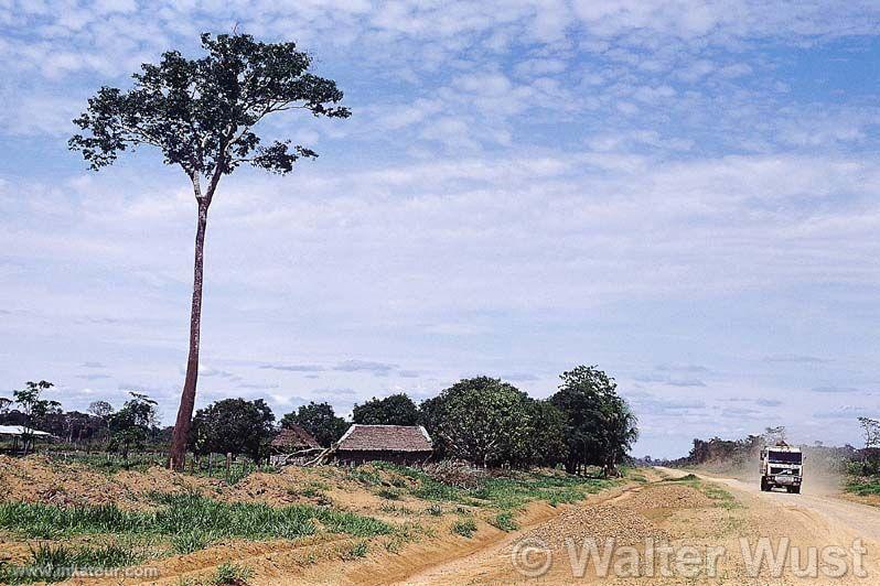 Photo of Peru