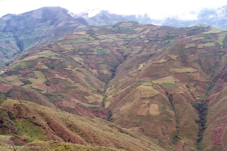 Photo of Peru