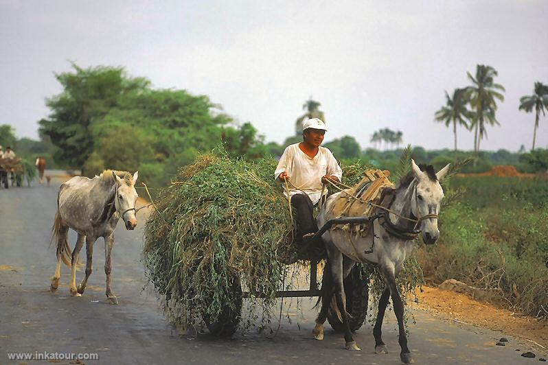 Photo of Peru