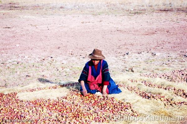 Photo of Peru