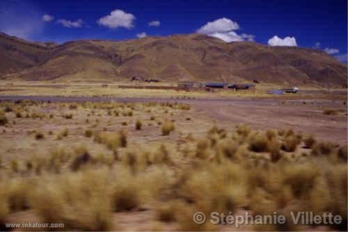 Train between Puno and Cuzco