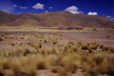 Train between Puno and Cuzco