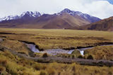 Train between Puno and Cuzco