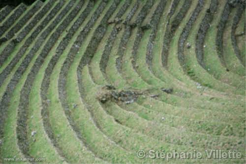 Photo of Peru