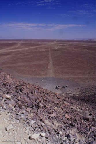 Nazca lines