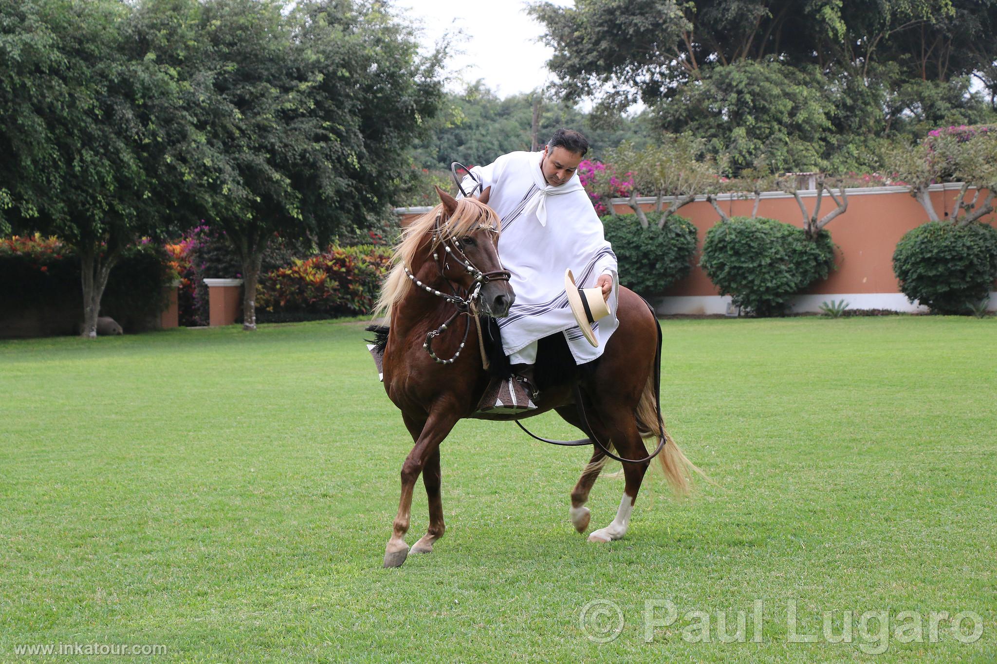 Photo of Peru