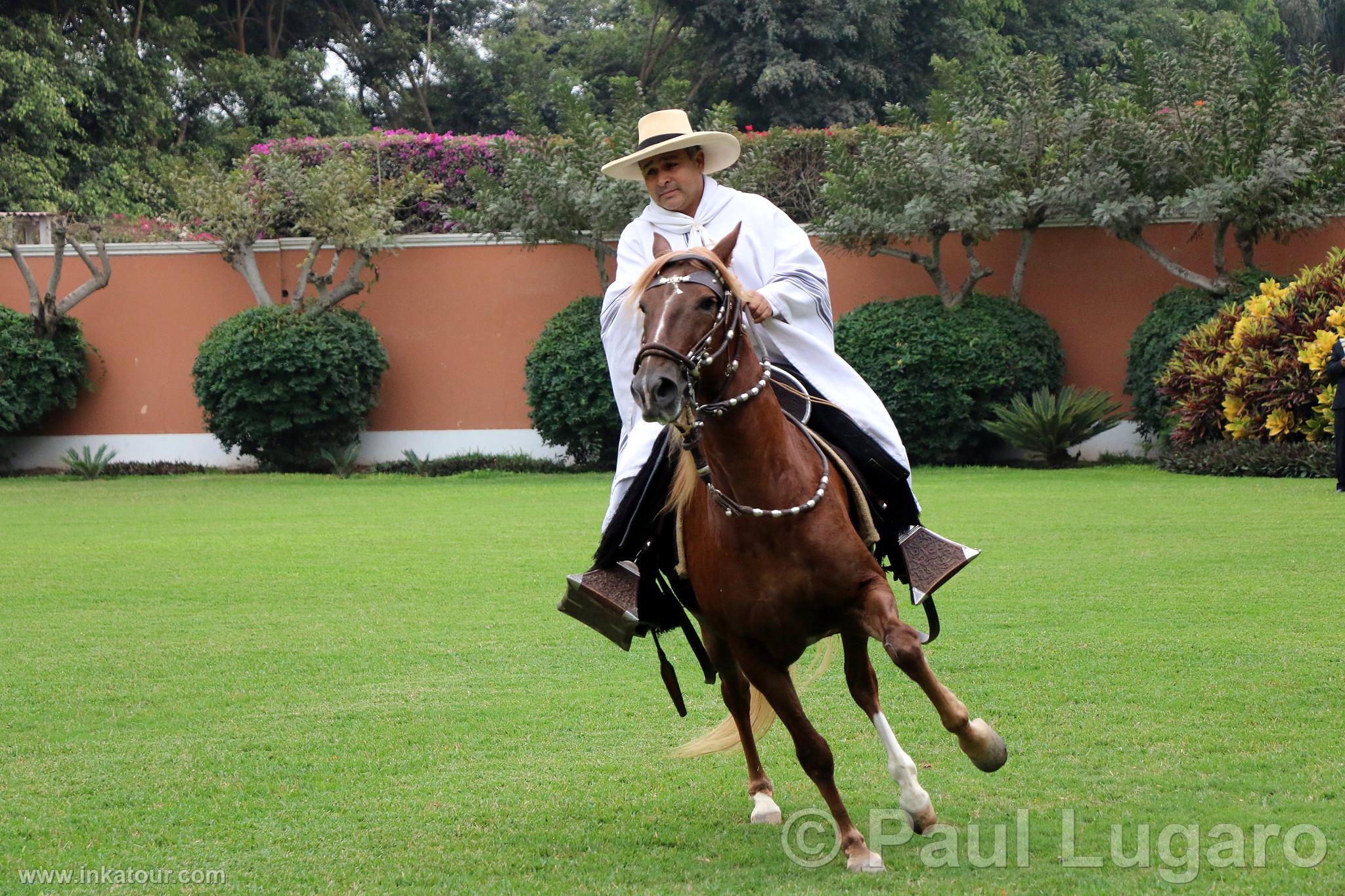 Photo of Peru