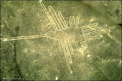 The Hummingbird, Nazca